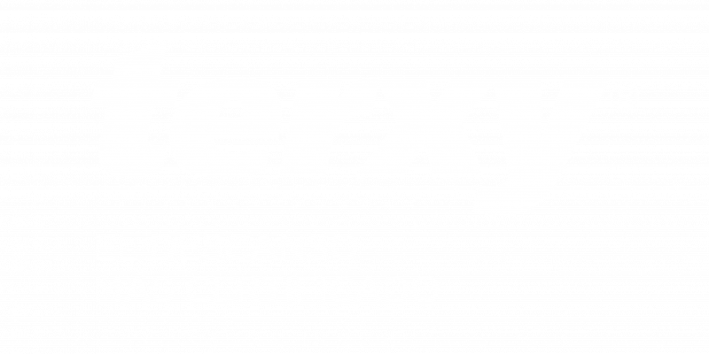 LOGO TERXY_blanco